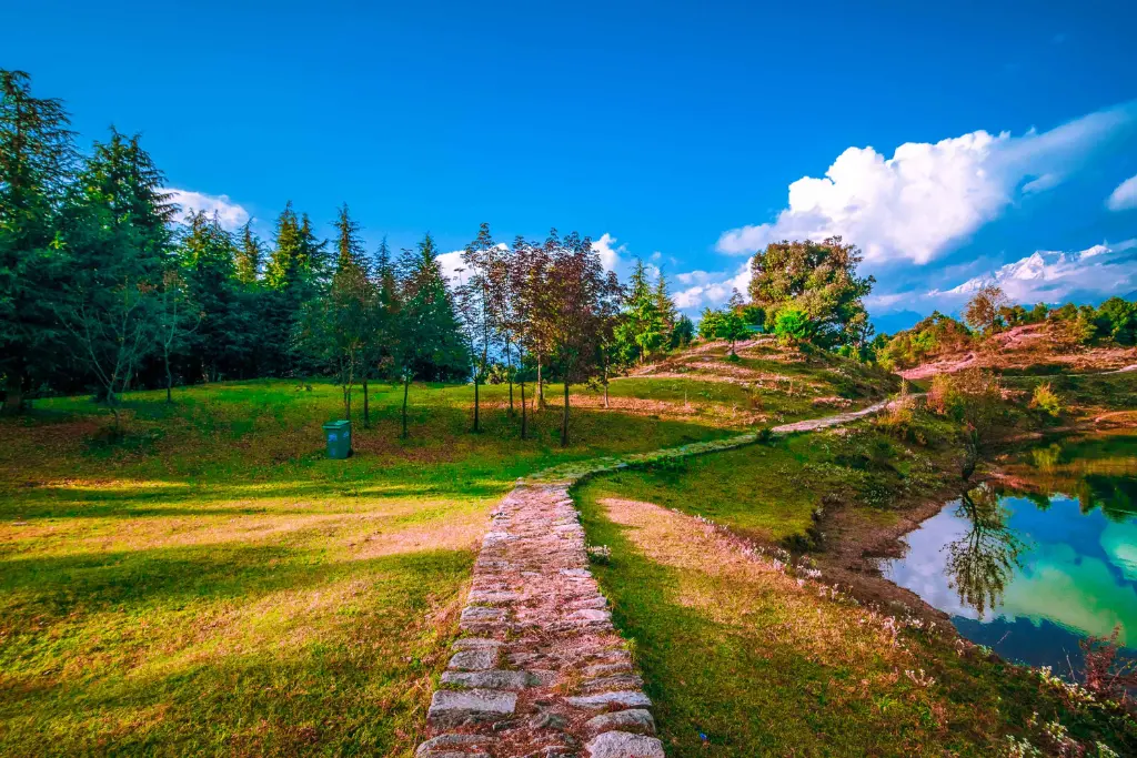 chopta auli tour package